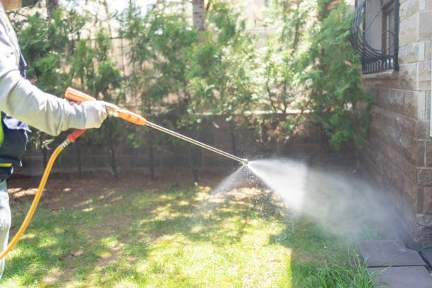 Best Pest Prevention Services  in Woodbine, GA